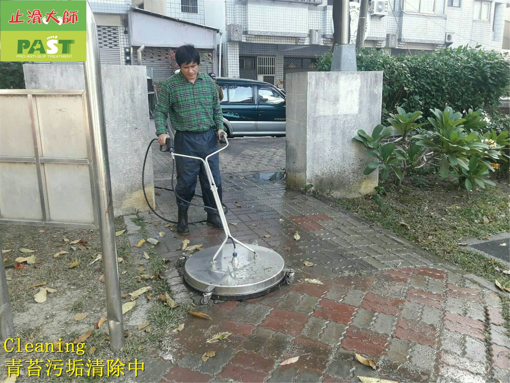 moss cleaning